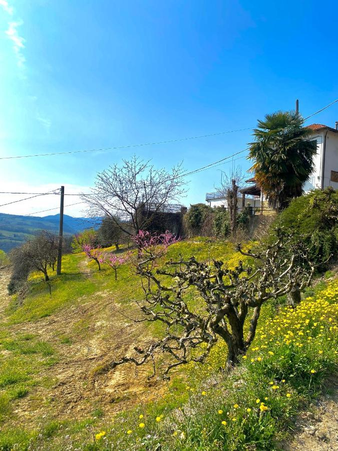 Agriturismo Pian Del Duca Vesime Exterior foto