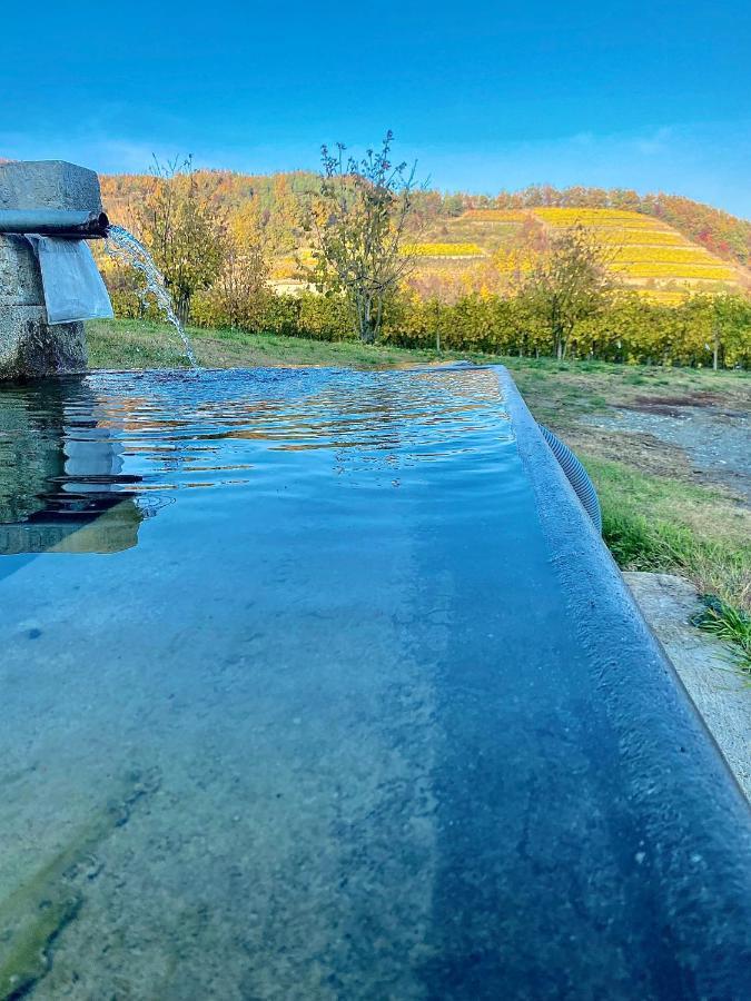 Agriturismo Pian Del Duca Vesime Exterior foto