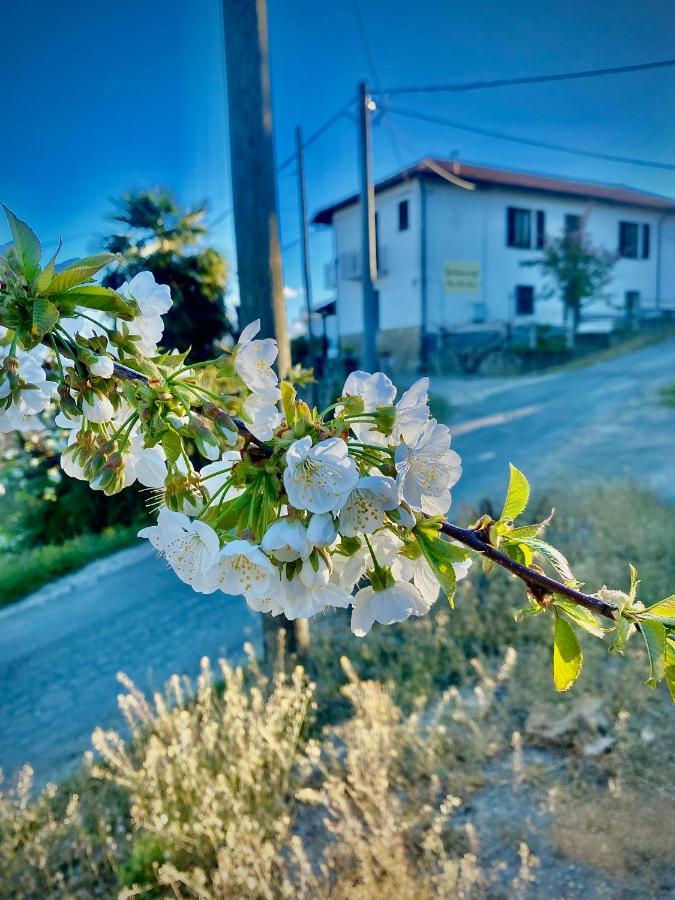 Agriturismo Pian Del Duca Vesime Exterior foto