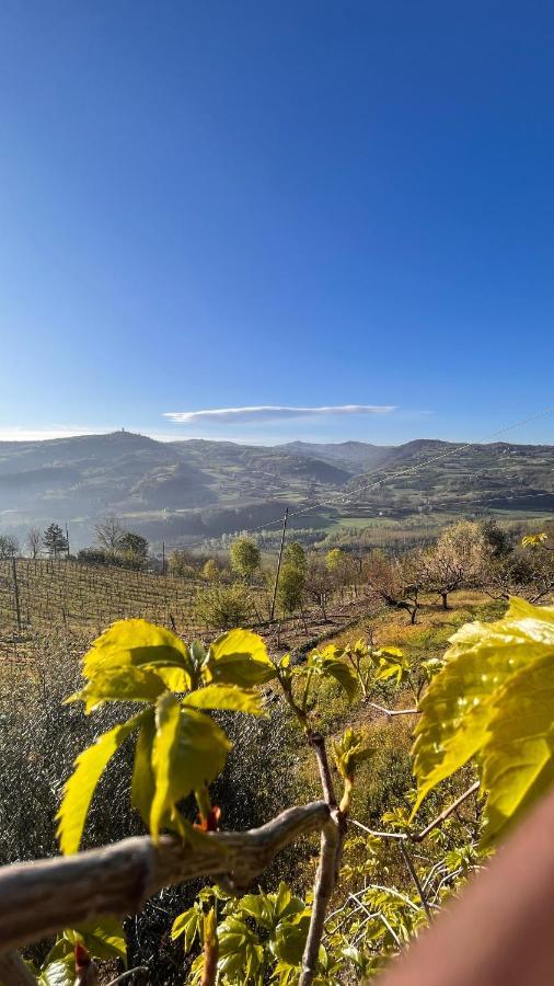 Agriturismo Pian Del Duca Vesime Exterior foto